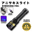 【安心の1年保証】アニサキスライト 高出力 15W 充電式 ズーム機能付きブラックライト アニサキス アニサキス検出 強力 USB ハイパワー 充電 LED 人...