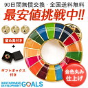 【国連本部公式最新仕様/インボイス制度対応】1個セット SDGs バッジ SDGs ピンバッジ ピンバッチ バッチ 襟章 帽子にもおしゃれ 金色 ゴールデン 企業 会社 団体 留め具3個付 sdgsバッジ 正規品 金色丸み仕上げ sdgsバッチ ピンバッチ SDGs 国連ガイドライン (25mmサイズ)