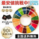 【国連本部公式最新仕様/インボイス制度対応】1個セット SDGs バッジ SDGs ピンバッジ ピンバッチ バッチ 襟章 帽子にもおしゃれ 金色 ゴールデン 企業 会社 団体 留め具3個付 sdgsバッジ 正規品 金色丸み仕上げ sdgsバッチ ピンバッチ SDGs 国連ガイドライン (25mmサイズ)