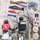 【GW期間中通常発送】鯉のぼり 男の子 初節句 鯉のぼり スタンドセット アパート 鯉のぼり 黒鯉 1m 端午の節句 鯉のぼり 庭園 杭 鯉のぼり 簡単 設置 ...