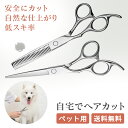 【高品質ステンレス製】散髪用ハサミ すきバサミ ヘアカットハサミ 髪切りハサミ セルフカット 散髪セット 散髪ハサミ すきバサミ セニングシザー カットシザー ...
