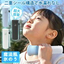 【夏の必需品・水漏れ防止設計】冷感 スティック 携帯 氷のう 首ひんやり 冷感 アイス パック 結露しない 水筒型 ネッククーラー 体の全部位対応 おでこ 顔 ...