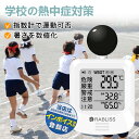 【1~100個/即納・事業者&法人向け】黒球式 熱中症指数計 熱中症指数モニター WBGT測定器 熱中症指数計 熱中症対策 義務化対応 JIS アラーム機能 温湿度計 コンパクト 温度計 湿度計 学校 保育園 法人 企業 団体用 熱中症予防 熱中症対策グッズ 適格請求書発行 WBGT測定器