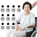 【高齢者に安心!正確測定で暑さ対策】WBGT 計 熱中症計 高精度 wbgt 計測器 WBGT 指数計 介護施設 精密測定 wbgt 値 表 データ 熱中症対策グッズ 長時間 屋外 黒球式 熱中症計 高齢者 持ち運び 熱中症指数計 置き型 熱中症検知 熱中症計 温湿度計 病院 黒球式熱中症指数計