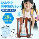 【背中にフィットする冷感構造!】ひんやり 背中冷却パッド リュック 冷却パッド 持ち運び リュック サックアイスマット コンパクト 結露なし 冷感マット クールパッド 背中ひんやり リュックに簡単取り付け 冷却グッズ 背中 吸熱 冷感パッド 超軽量 子ども ひんやりグッズ