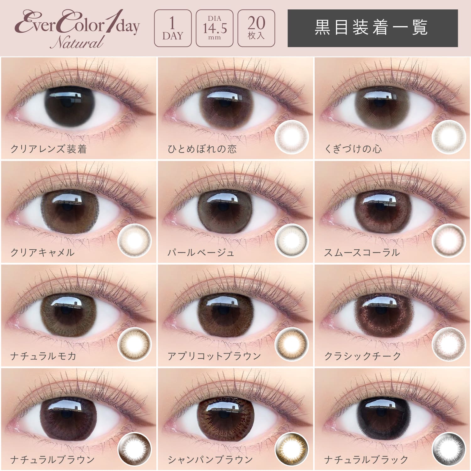 【4箱セット】カラコン ワンデー エバーカラーワンデーナチュラル EVER COLOR 1day Natural 20枚 14.5mm ワンデーカラコン カラーコンタクト カラーコンタクトレンズ　度あり 度なし エバカラ アイレ フチあり 新木優子 2