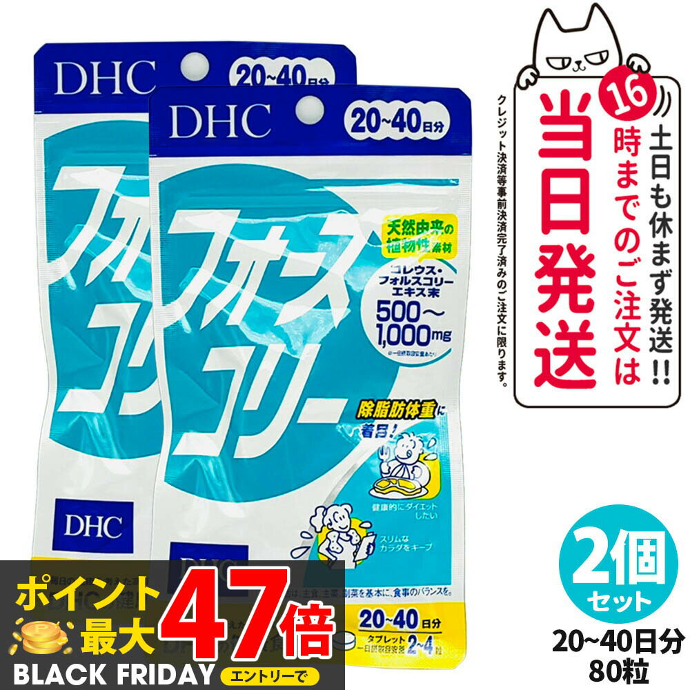 【2個セット 賞味期限2027年】DHC フ