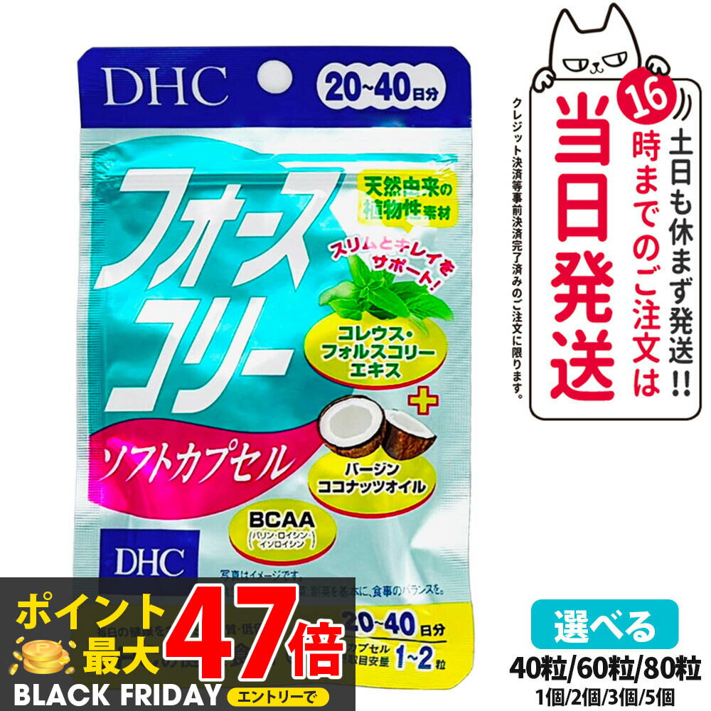 【賞味期限2027年】DHC フォースコリ