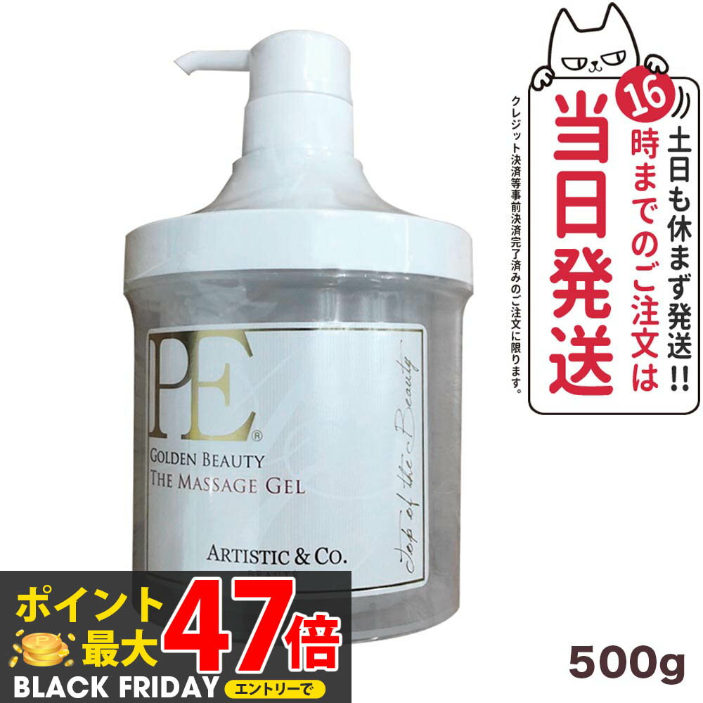 ڹʡۥƥƥå& PE ǥӥ塼ƥ  ޥå 500g ARTISTIC&CO P.E ꡼ܥ꡼ܥǥ...