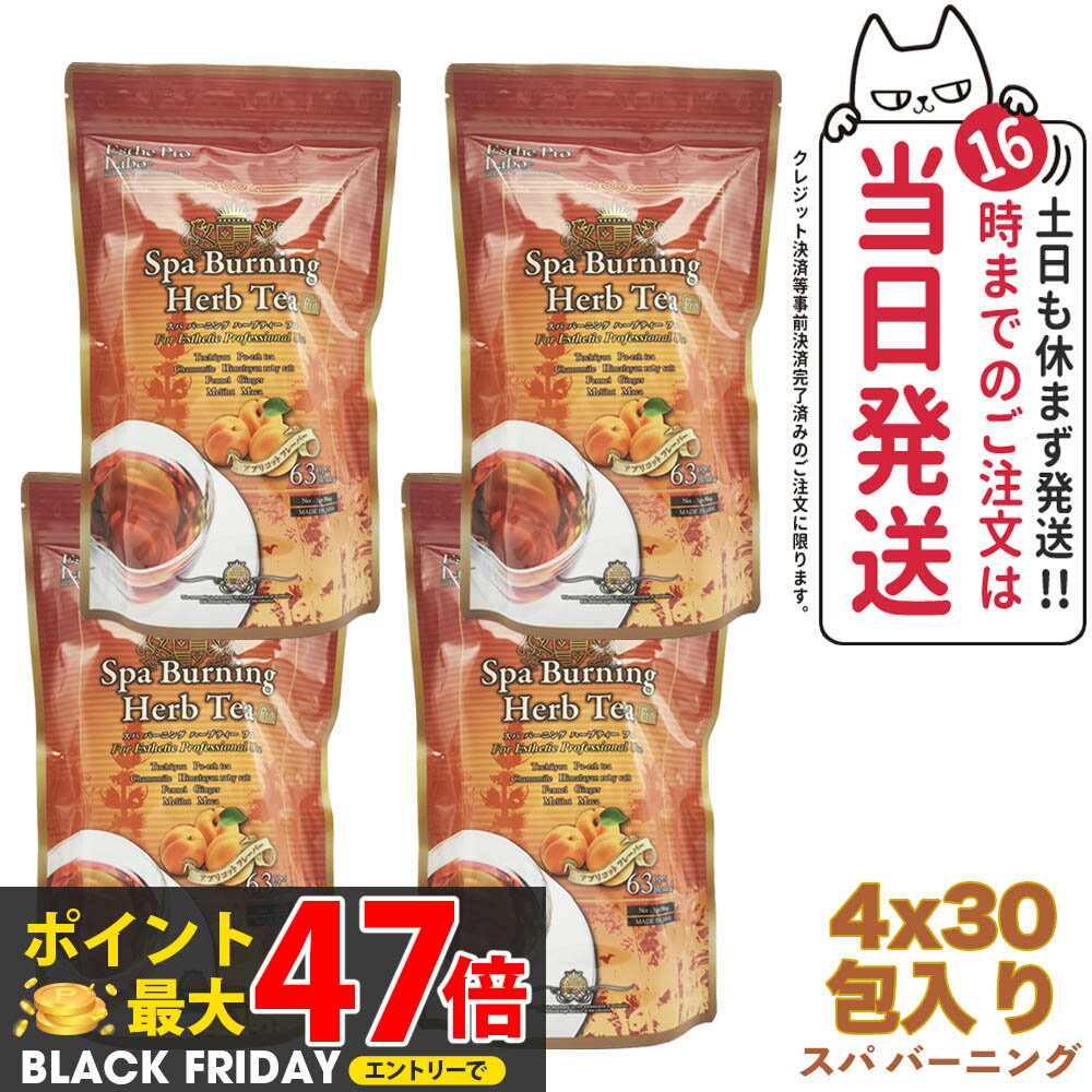 【4袋セット・賞味期限2027/03】エステプロラボ スパ バーニング ハーブティー プロ 3g×30 Esthe Pro Labo ダイエット スッキリ 天然素材 おいしい オーガニック ハーブティー 全国送料無料