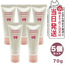 【限定サンプル付き 5個セット】EVERMERE エバメールゲルクリーム 70g オールインワンゲルクリーム 化粧品 送料無料