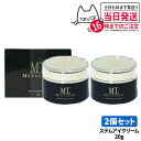 【2点セット 国内正規品】MTメタトロン ステムアイクリーム 20g MTメタトロン化粧品 目元 口元 まぶた 乾燥 潤い スキンケア 母の日 プレゼント ギフ...