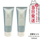 【2個セット】EVERMERE エバメール ウォーターモイストトリートメント 180ml ヘアケア 送料無料