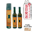 【2本セット 賞味期限2026/10】エステプロラボ ハーブザイム113 グランプロ ジンジャー 500ml Esthe Pro Labo エステプロラボ 酵素ドリンク ファスティングダイエット 国内正規品 送料無料