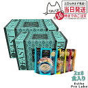 【2個セット】エステプロラボ ファストプロ グルテンフリー パスタセット(プレミアムボックス入り) 8食分×2箱エステプロラボ ファスティング Esthe Pr...