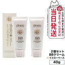 【2個セット 国内正規品】 Direia ディレイア ステム コンセントレイト BBクリーム プロ 40g イエローベース 送料無料