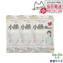 【3袋セット】白元アース マスク ビースタイル プリーツタイプ ふつうサイズ プレミアムホワイト 5枚入×3 小顔に魅せる 耳らく 普通 全国マスク工業会員マー...
