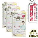 【3個セット】白元アース ビースタイル プリーツタイプ 小顔に魅せる ふつうサイズ 【プレミアムホワイト 20枚入】 女性用マスク 送料無料