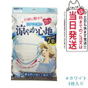 白元アース ビースタイル プリーツタイプ 涼やか心地 【ホワイト】 5枚入 マスク 送料無料