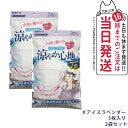 【2個セット】白元アース ビースタイル プリーツタイプ 涼やか心地 【アイスラベンダー】 5枚 マスク 送料無料