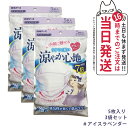 【3個セット】白元アース ビースタイル プリーツタイプ 涼やか心地 【アイスラベンダー】 5枚 マスク 1000円ポッキリ 送料無料
