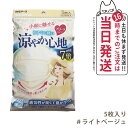 白元アース ビースタイル プリーツタイプ 涼やか心地 【ライトベージュ】 5枚入 マスク 送料無料