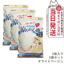 【3個セット】白元アース ビースタイル プリーツタイプ 涼やか心地 【ライトベージュ】 5枚入 マスク 1000円ポッキリ 送料無料