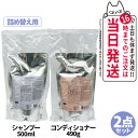 【国内正規品・リフィル2点セット】POLA ポーラ フォルム FORM シャンプー リフィル 500mL +コンディショナー(ふんわりタイプ) リフィル 490g 日本製 詰め替え用 送料無料
