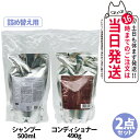 【国内正規品・リフィル2点セット】POLA ポーラ フォルム FORM シャンプー リフィル 500mL +コンディショナー(まとまりタイプ) リフィル 490g 日本製 詰め替え用 送料無料