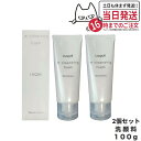 【2個セット】NARIS ナリス ルクエ Wクレンジング フォーム クレンジング 洗顔料 LUQUE 100g 送料無料