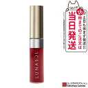 【国内正規品 箱なし】LUNASOL ルナソル リップグロウフラッシュ EX04 Hazy Carmine メイクアップキット リップグロス リップクリーム リ...