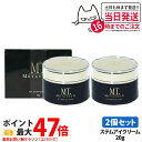 【2点セット 国内正規品】MTメタトロン ステムアイクリーム 20g MTメタトロン化粧品 目元 口元 まぶた 乾燥 潤い スキンケア 母の日 プレゼント ギフ...