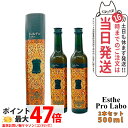 【2本セット 賞味期限2026/10】エステプロラボ ハーブザイム113 グランプロ ジンジャー 500ml Esthe Pro Labo エステプロラボ 酵素...