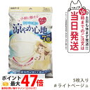 白元アース ビースタイル プリーツタイプ 涼やか心地 【ライトベージュ】 5枚入 マスク 送料無料
