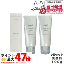 【2個セット】NARIS ナリス ルクエ Wクレンジング フォーム クレンジング 洗顔料 LUQUE 100g 送料無料