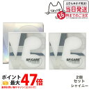 【2個セット・正規品】スピケア V3 セットアップパウダー シャイニー (パフ付き) V3 SPICARE set up powder shiny 11.5g ...