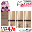 【3個セット 国内正規品】アデランス ヘアプラス ビューファンデパウダー ダークブラウン 8g Aderans 送料無料