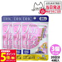 【26日01:59までエントリーでP5倍】【3個セット 賞味期限2028/03】ディーエイチシー DHC 香るブルガリアンローズ 20日分 40粒 DHC サプ...