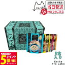 【選べる】エステプロラボ ファストプロ グルテンフリー パスタセット(プレミアムボックス入り) 8食分 1箱/2箱/3箱/4箱 エステプロラボ ファスティング Esthe Pro Labo ダイエット 酵素栄養学 プチ断食 酵素栄養学 置き換え 国内正規品 送料無料