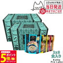 【26日01:59までエントリーでP5倍】【2個セット】エステプロラボ ファストプロ グルテンフリー パスタセット(プレミアムボックス入り) 8食分×2箱エステプロラボ ファスティング Esthe Pro Labo ダイエット 酵素栄養学 プチ断食 酵素栄養学 置き換え 国内正規品 送料無料