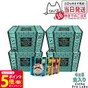 【26日01:59までエントリーでP5倍】【4個セット】エステプロラボ ファストプロ グルテンフリー パスタセット(プレミアムボックス入り) 8食分×4箱 エス...