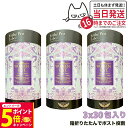 【26日01:59までエントリーでP5倍】【3個セット ポスト投函】EstheProLabo エステプロラボ ウィメンズエスト グランプロ 女性用 美容サプリ 健康食品 サプリメント スティックタイプ 180g(6g×30包) 箱無し