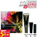 【26日01:59までエントリーでP5倍】【国内正規品】POLA ポーラ B.A ライト セレクター シーズナルスペシャルボックス 日中用 クリーム 日ヤケ止め...