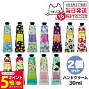 【26日01:59までエントリーでP5倍】【選べる2個セット】the SAEM パフュームド ハンドクリーム 30ml モイスチャライザー シアバター 韓国コス...