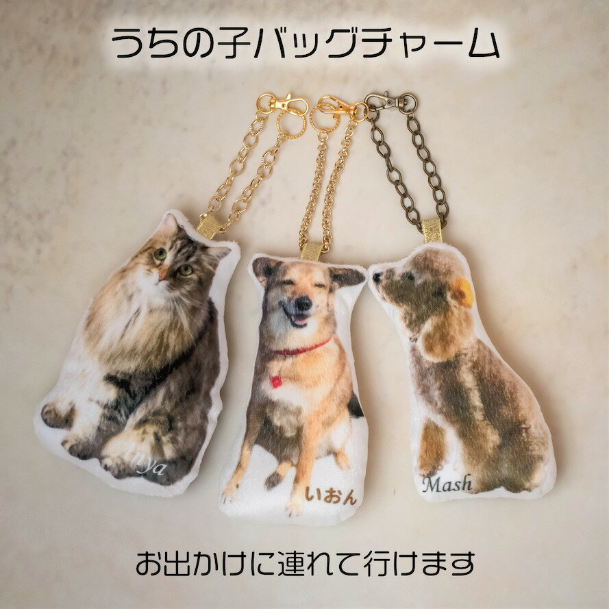 うちの子　ミニクッション　ミニチュア　　メモリアル 犬　猫　うさぎ　ハムスター　インコ　　文鳥　　虹の橋　　遺骨カプセルのサムネイル