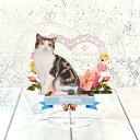 アクリルスタンド アクリルフィギュア うちの子グッズ ペットグッズオーダーメイド オーダーメイド ペットの写真 うちの子の写真 メモリアル 記念品 ペットロス 虹の橋 国内生産 犬 猫 ウサギ インコ オリジナル