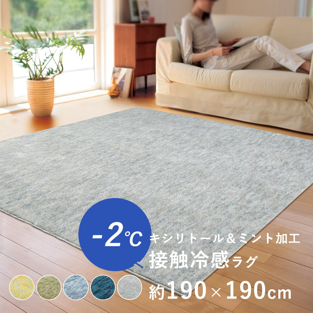 ラグ 夏 夏用 ラグマット カーペット -2℃ 接触冷感 ひんやり 防ダニ 抗菌 遮音 防音 洗える 約190×190cm(約2畳相当) 床暖房対応 ホットカーペット対応 日本製 国産 オールシーズン