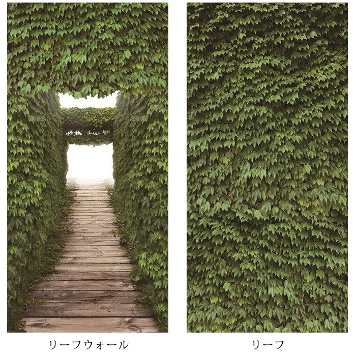 マルチスクリーン【C】/85×200cm スク...の紹介画像2