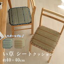 い草 いぐさ イグサ 井草シートクッション チェアパッド 座布団 リバーシブル 約40×40cm イ草 消臭 調湿 リラックス 癒し 春 夏 カジュアル プレゼ...
