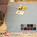 ラグ ラグマット カーペット BANJUL バンジュール/約261×261cm(江戸間4.5畳) 4.5帖 4畳半 4帖半 消臭 防汚 静電気防止 防炎 床暖房対応 ホットカーペット対応 北欧 おしゃれ 日本製 国産 春 夏 オールシーズン